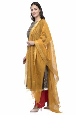 A R Silk Women’s Chanderi Zari Work Mustard Regular Dupatta