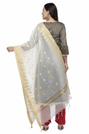 A R Silk Women’s Chanderi Zari Embroidery Cream Regular Dupatta