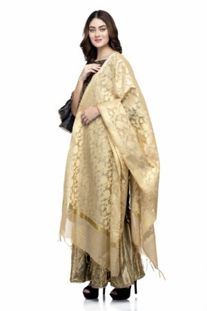 A R Silk Women’s Zari Embroidery Chanderi Golden Fancy Dupatta