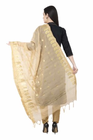 A R SILK VNS Ambi Booti Vanarsi Golden Color Dupatta/Chunni