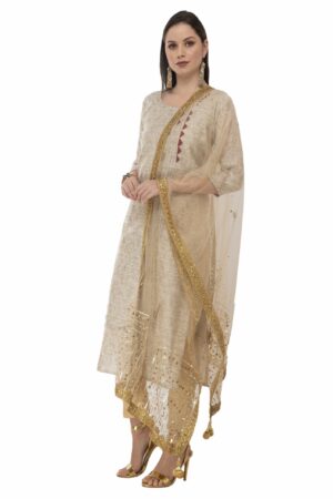 A R Silk Women’s Net Net Embroidery With Stone Golden Fancy Dupatta