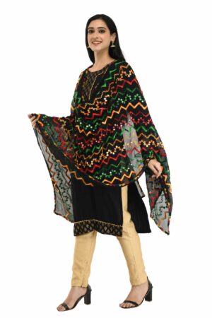 A R Silk Women’s Multi Thread Embroidery With Silver Gota Chiffon Black Dupatta