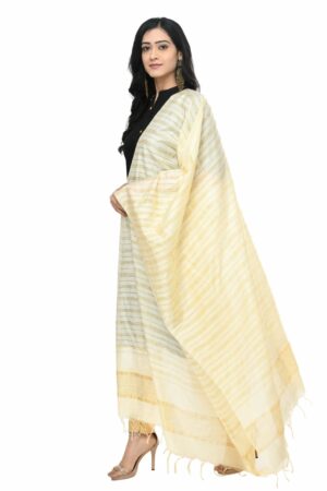 A R Silk Women’s Cotton Cream Dupatta # Regular Dupatta