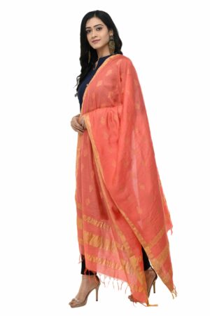 A R Silk Women’s Cotton Dark Gajari Dupatta # Regular Dupatta