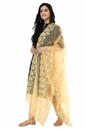 A R Silk Women’s Tissue Golden Sequence Work Dupatta # Fancy Dupatta