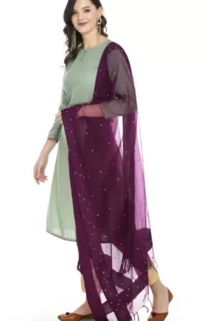 A R SILK Women’s Organza Cotton Wine Stone Work Dupatta # Regular Dupatta