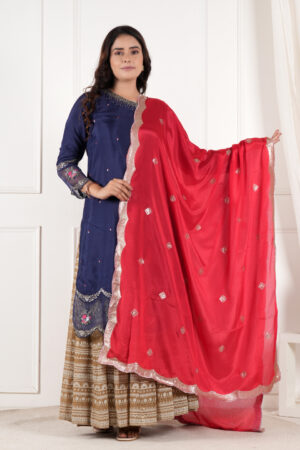 A R SILK DUPATTA HUB Women’s Art Silk Sequence Work With Zari Embroidered Work Red Fancy and Bridal Dupatta(ARS01212)