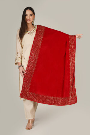 A R SILK DUPATTA HUB Women’s Velvet Red Four Side Mirror Work Boader Fancy and wedding Dupatta(ARS01265)