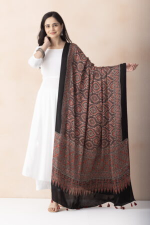 A R SILK DUPATTA HUB Women’s Mouse Modal Silk Handblock Printed Ajrakh  Fancy Dupatta(ARS01327)