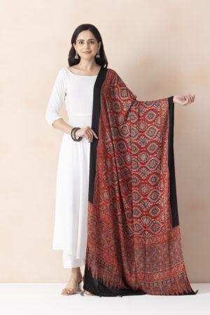 A R SILK DUPATTA HUB Women’s Red Modal Silk Handblock Printed Ajrakh  Fancy Dupatta(ARS01331)