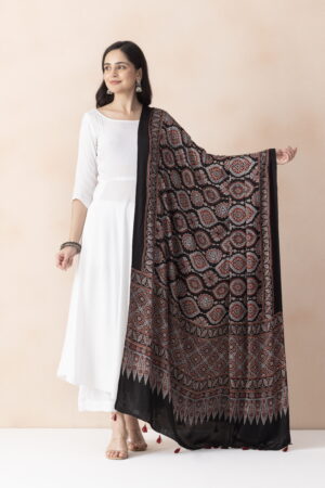 A R SILK DUPATTA HUB Women’s Black Modal Silk Handblock Printed Ajrakh  Fancy Dupatta(ARS01334)