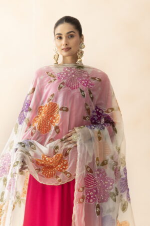 A R SILK DUPATTA HUB Women’s Cream & Pink Organza Hand Printing with Embroidered Fancy Dupatta(ARS01309)