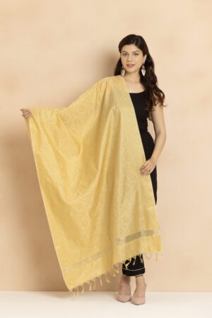 A R Silk DUPATTA HUB Women’s Golden Zari Work Banarasi Silk with floral Jaal design Fancy Dupatta(ARS01340)