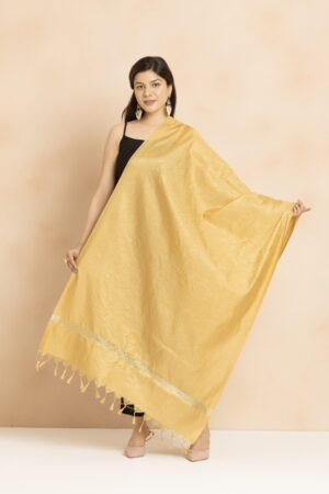 A R Silk DUPATTA HUB Women’s Golden Zari Work Banarasi Silk with floral Jaal design Fancy Dupatta(ARS01346)