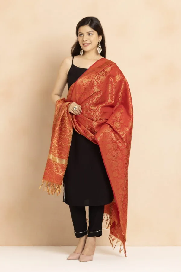Beautiful woman wearing a red and gold traditional saree with black dress.