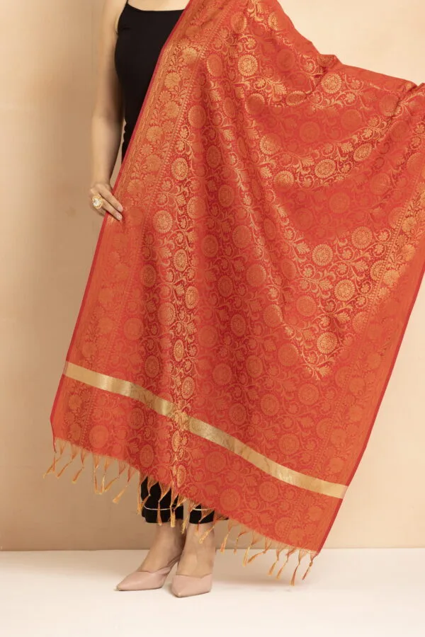 Beautiful red saree with intricate gold patterns and fringe details for women.