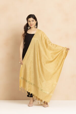 A R Silk DUPATTA HUB Women’s Golden Zari Work Banarasi Silk with floral Jaal design Fancy Dupatta(ARS01354)