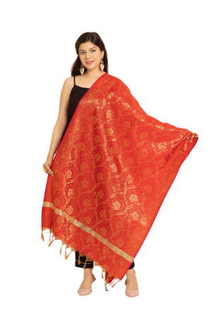 A R Silk DUPATTA HUB Women’s Golden Zari Work Banarasi Silk with floral Jaal design Fancy Dupatta(ARS01355)