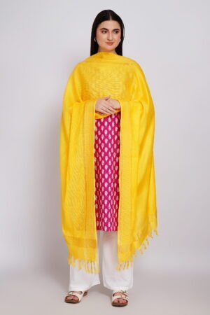 A R Silk DUPATTA HUB Women’s Yellow Golden Zari Work Kota Cotton Fancy Dupatta(ARS01357)