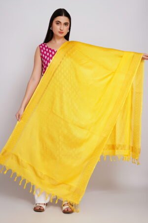 A R Silk DUPATTA HUB Women’s Yellow Golden Zari Work Kota Cotton Fancy Dupatta(ARS01357)