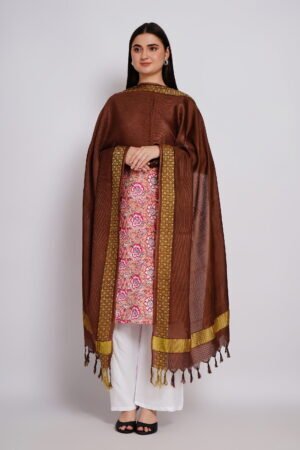 A R Silk DUPATTA HUB Women’s Brown Golden Zari Work Kota Cotton Fancy Dupatta(ARS01362)