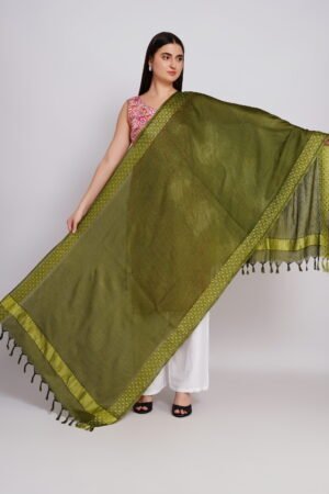 A R Silk DUPATTA HUB Women’s Olive Green Golden Zari Work Kota Cotton Fancy Dupatta(ARS01367)