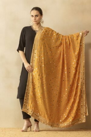 A R Silk Dupatta Hub Trending mirror work silk  dupatta  for fashion wear
